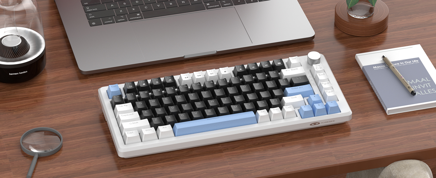 Great for Gaming and Office