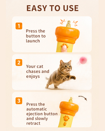 Cat Balls Fetch Toy