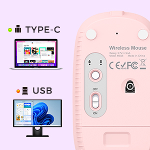 type C mouse