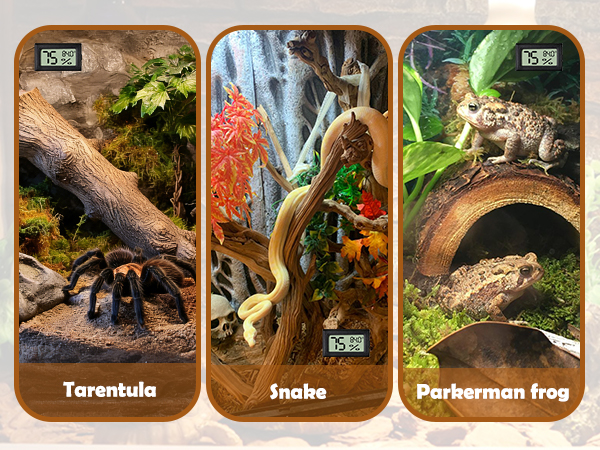Reptile Thermometer and Humidity Gauge