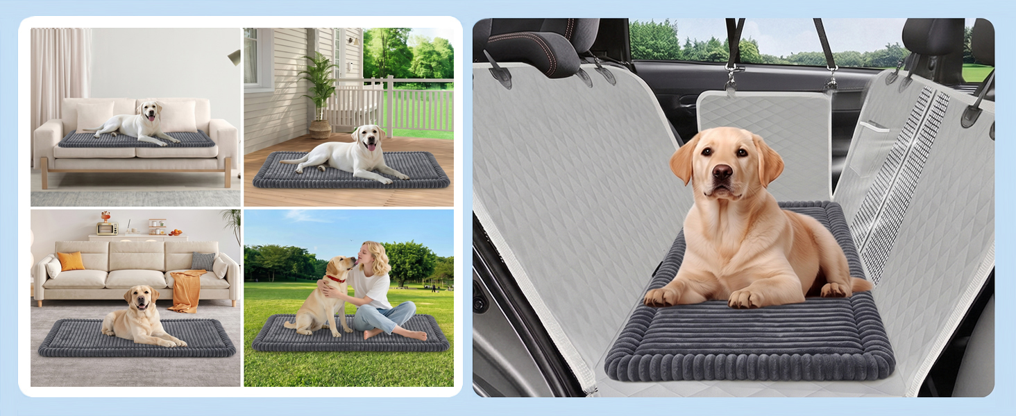 dog bed for car