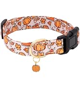 Faygarsle Orange Dog Collar with Pumpkin Leaf Patterns Cute Puppy Collar for Fall Autumn Seasons ...