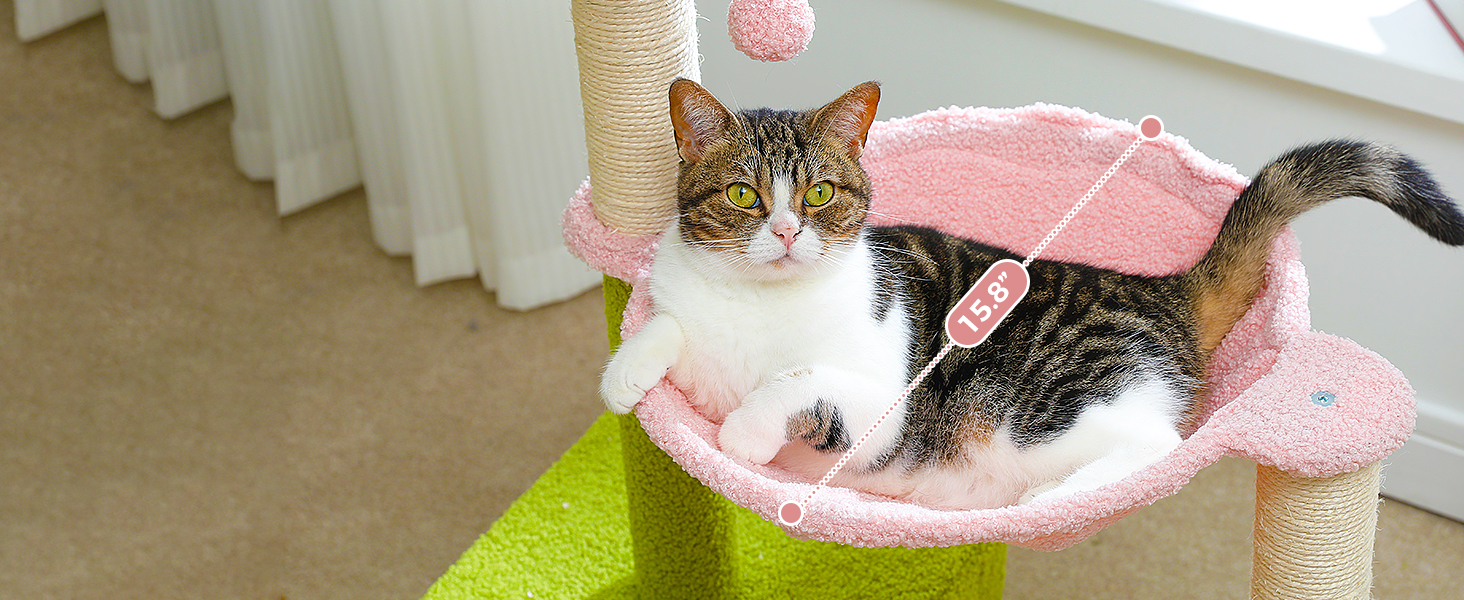 Cozy Hammock &amp; Private Condo Large hammock and spacious condo offer comfort, naps for cats.