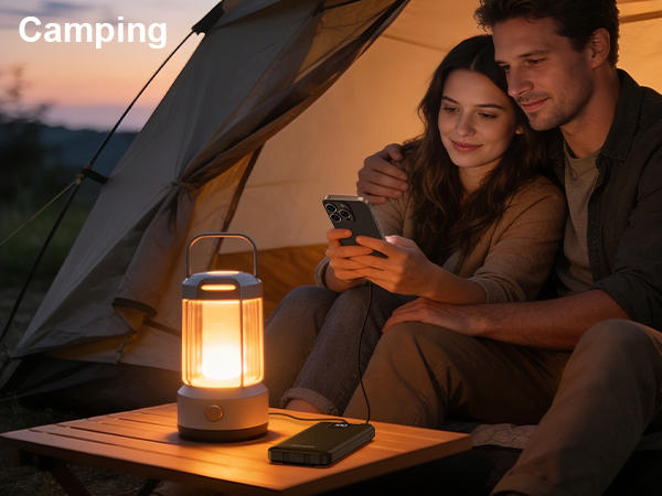 Portable Charger