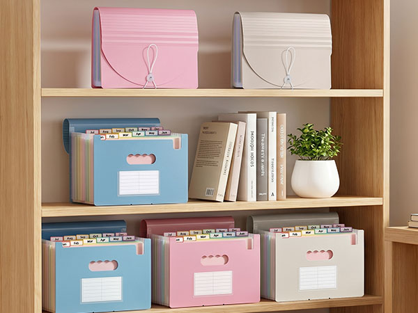 Accordion File Organizer