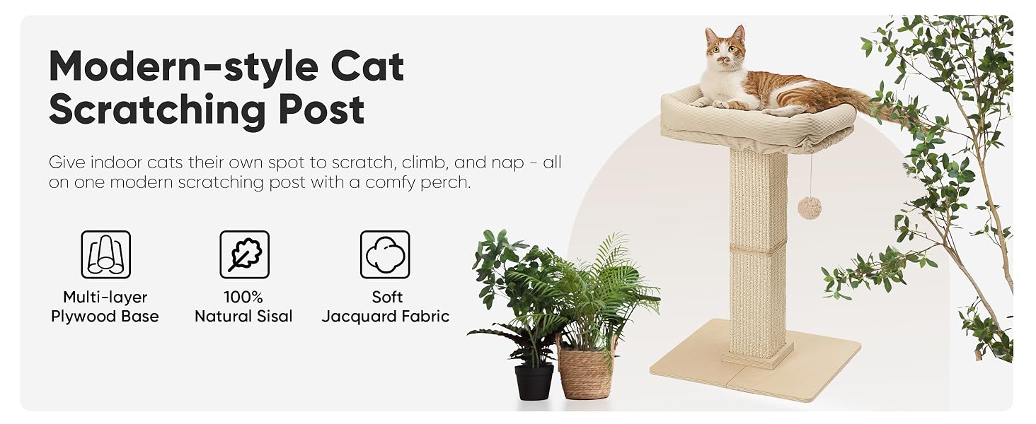 cat scratch post with bed