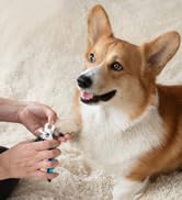 dog nail trimmers dog nail clippers for medium dogs cat nail clippers cat claw clippers
