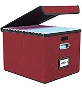 Huolewa Upgraded File Storage Organizer Box with lid, Decorative Small File Oragnizer Box for Han...