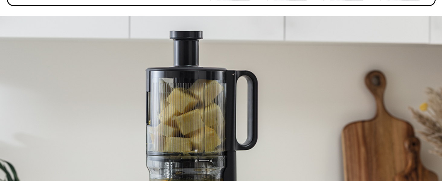 Masticating Juicer