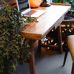 levler for desk