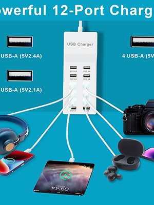 powerful 12 ports charging
