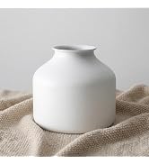 Goaste Metal Matte Flower Vase, Small White Vase for Flowers, 6.3 Inch Tall Iron Frosted Floral A...