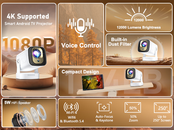 mini projector