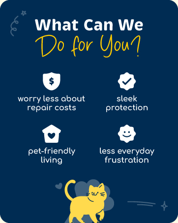 What We Can Do for You