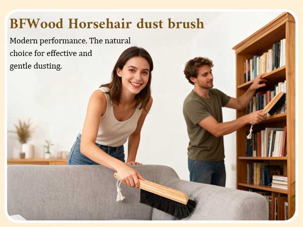 horsehair hand broom