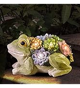 pearlstar Garden Statues Frog Figurine - Solar Powered Resin Animal Sculpture, Waterptoof Lights ...