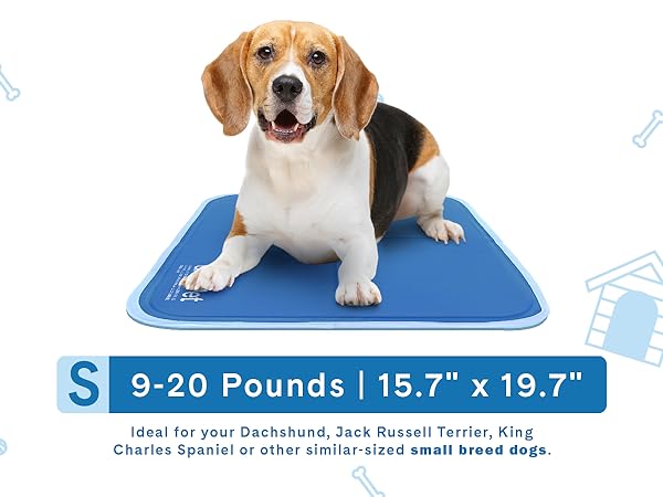 cool pet pad
