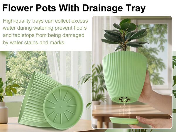 green plant pot