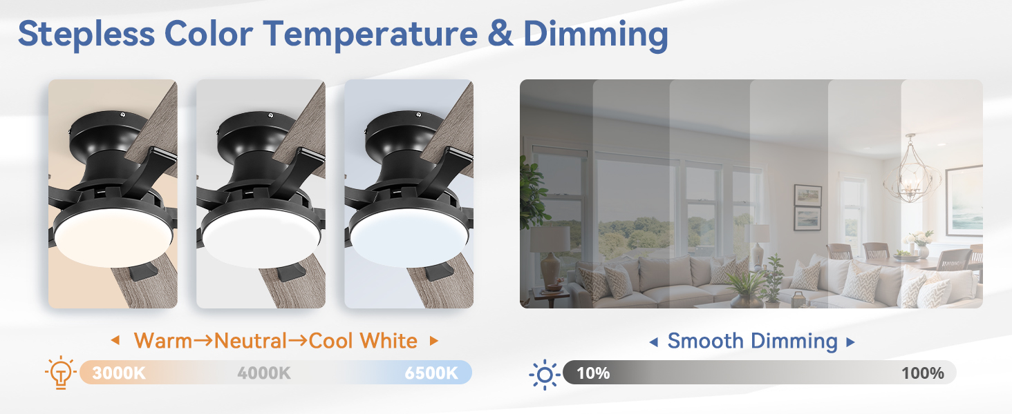 ceiling fan