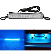 license platelicense plate lights