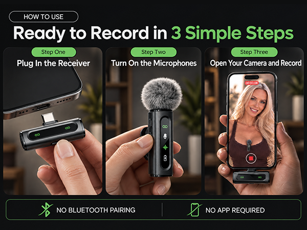 mini microphone