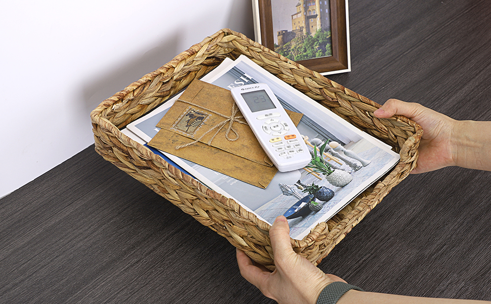 file tray