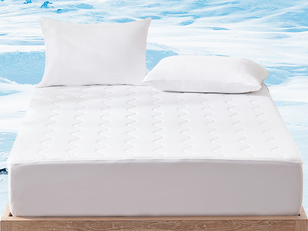 Mattress Protector