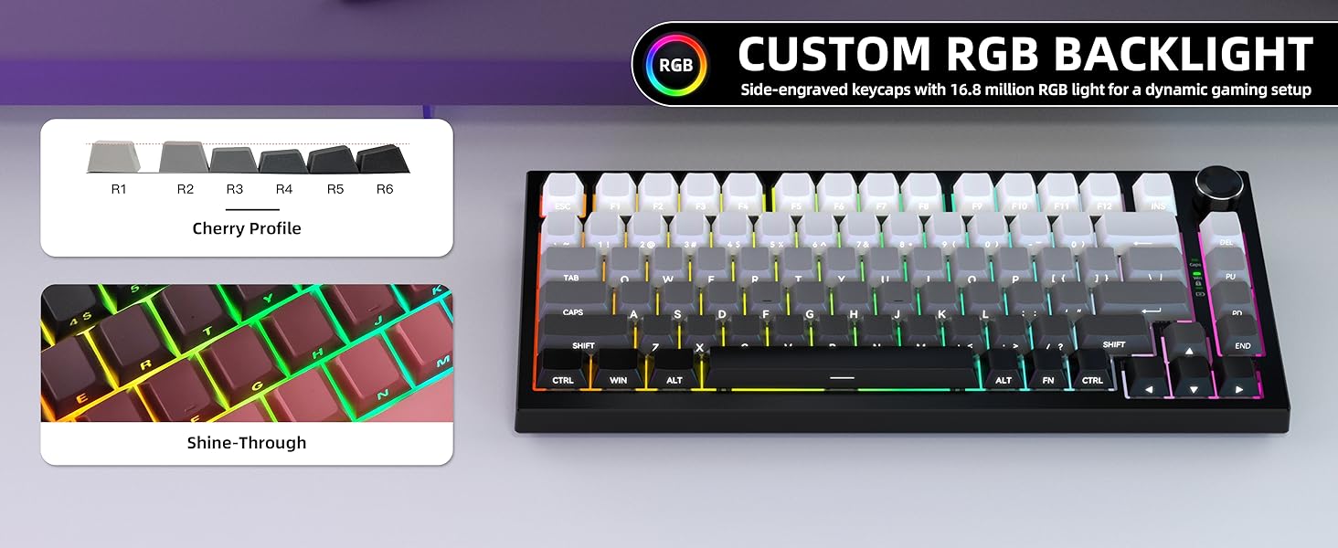 K81-???-7