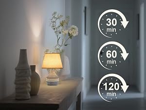 90016 A+ 600 battery operated lamp with timer