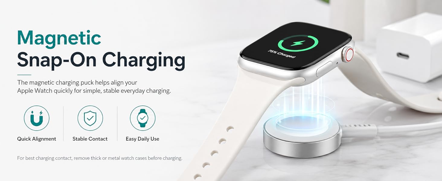 apple watch charger