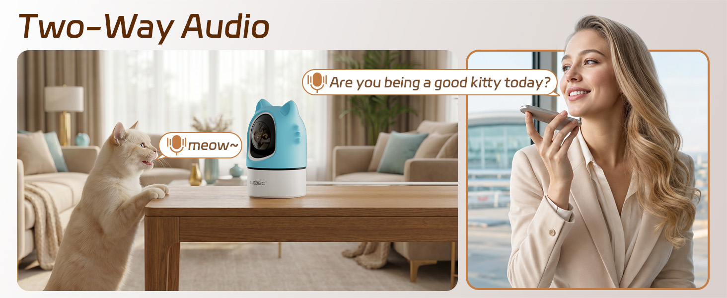Two-Way Audio