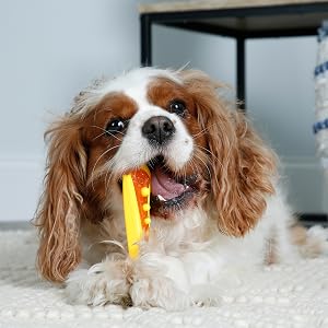 chew 'n clean