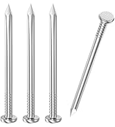 VGBUY 800PCS Stainless Steel Hardware Nails, 1 Inches Flat Head Nails for Hanging Pictures, Pictu...