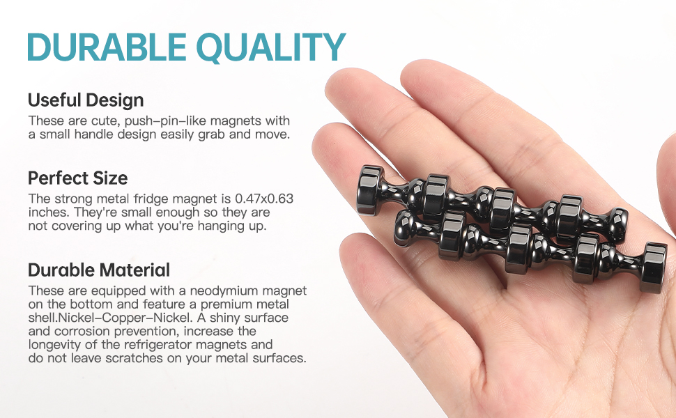 Fridge Magnets