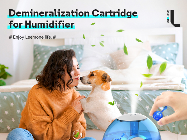 Demineralization Cleaning for Humidifier