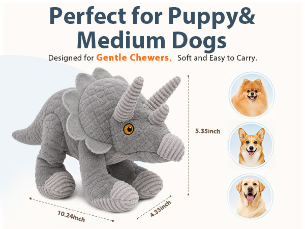 squeaky dog toys