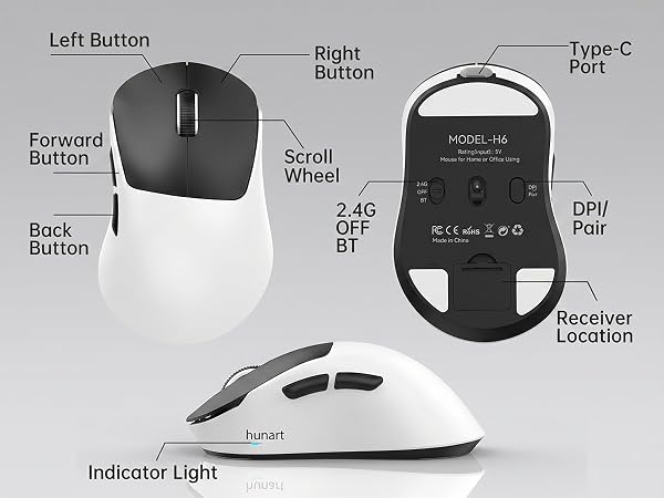 H6 Mouse