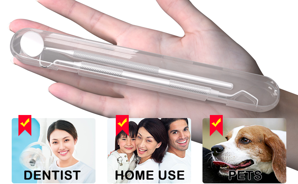 dental kit oral care tools