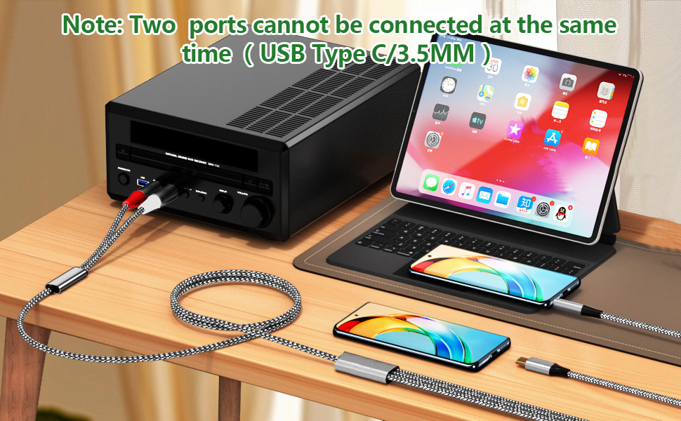 2IN1 USB C/3.5mm to 2RCA Audio Cable