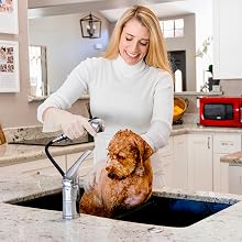Dog grooming