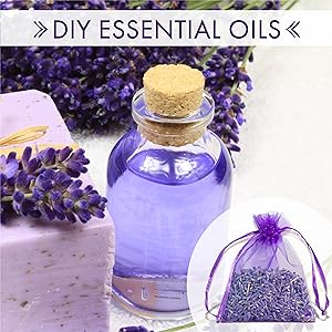 Dried Lavender Buds Sachets Flowers