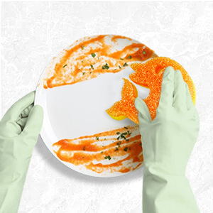 dish sponge