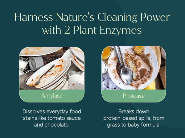 Enzyme dishwasher pods. Amylase and Protease dissolve food stains, sauce, and protein spills.