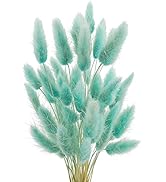 Uieke 120 Pcs Bunny Tails Dried Flowers, 17’’ Dried Lagurus Ovatus, Dried Foxtail Grass for Flowe...