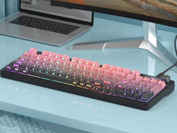 Gaming Keyboard