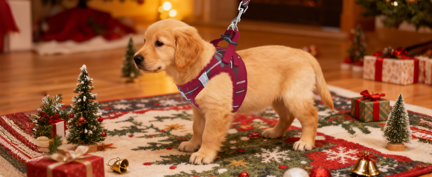 Christmas dog harness