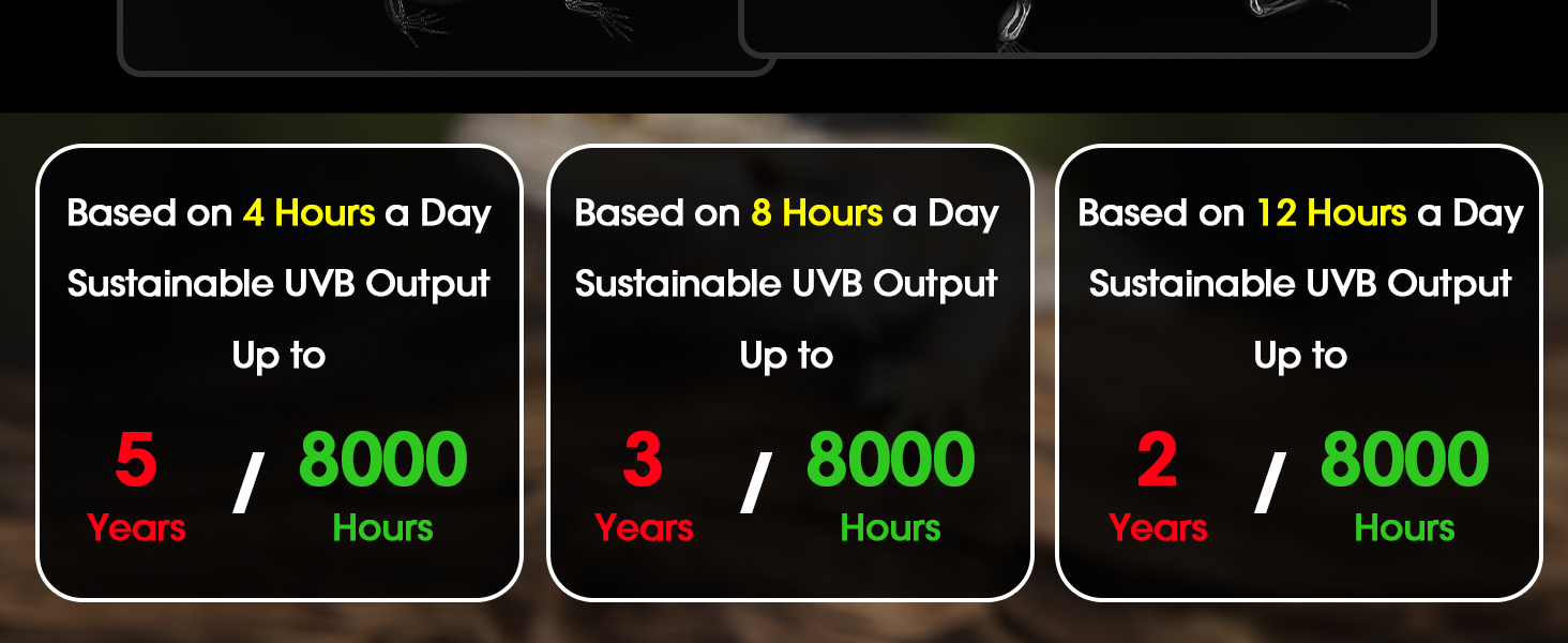 uvb light for turtles