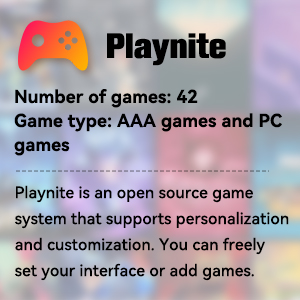 playnite game system