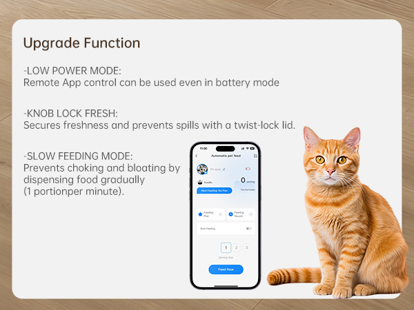 cat feeding station automatic pet feeder timed cat feeder automatic feeder cat dry food