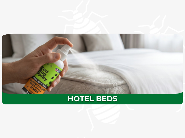 Travel bed bug spray for hotel mattresses